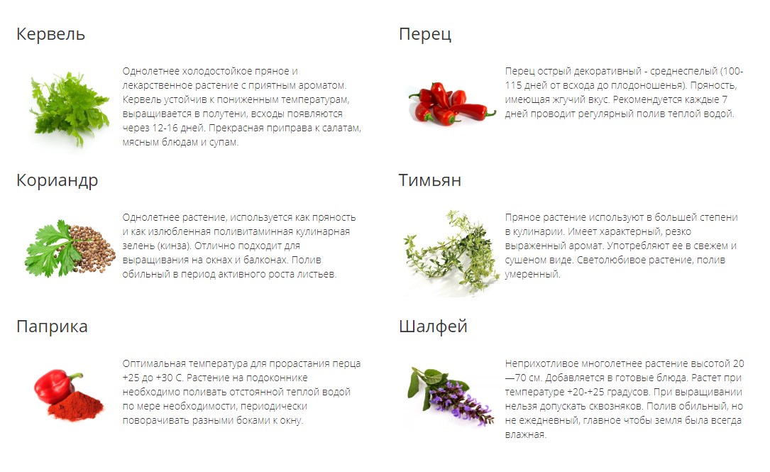 Какие травы нельзя. Травы запрещенные при беременности. Пряные травы однолетние список. Травы запрещенные при беременности список. Какие травы и специи нельзя беременным.